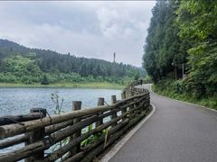 -武陵山森林公园