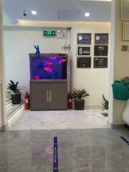 -海涛医疗美容·面部抗衰·注射美鼻