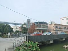 -海鸥岛