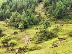 -硗碛藏寨·神木垒景区