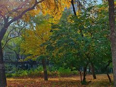 -元大都城垣遗址公园