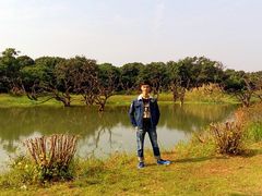 -鹤之洲湿地公园