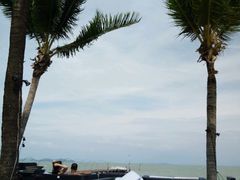 -椰树岛海滩度假村