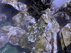 -聚盛源蒸汽海鲜火锅烤肉自助(巨川金海岸购物广场店)