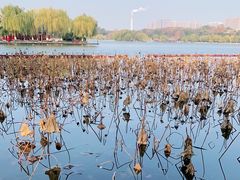 -济南大明湖景区