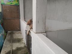 -洪湖家庭农场·团建·露营·会议
