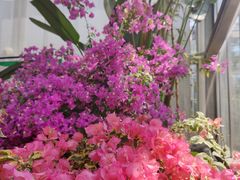 -国家植物园南园