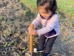 -前小桔亲子创意农场·草莓采摘·露营烧烤