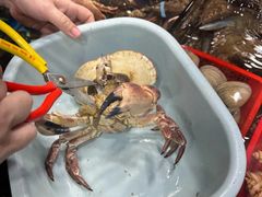 -船奇蒸汽海鲜·闽菜(八市海鲜总店)