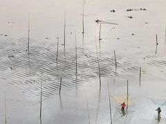 -北岐滩涂
