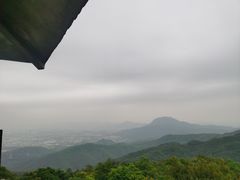 -东莞市大岭山森林公园