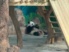 -南宁市动物园