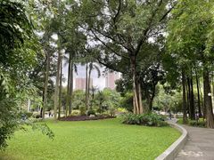 -晓港公园