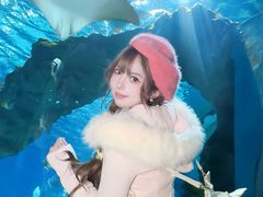 -海合安武汉极地海洋公园