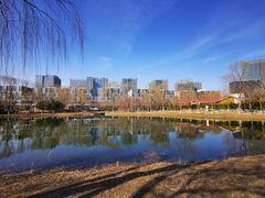 -大兴滨河森林公园