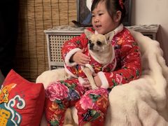 -超宠爱宠物摄影-Super pet