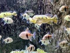 -多彩贵州城极地海洋世界