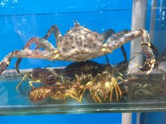-福泉海码头(六里山店)