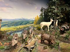 -陕西自然博物馆