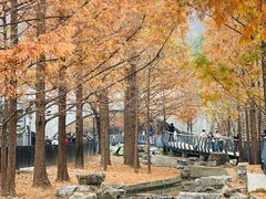 -白水寺森林公园
