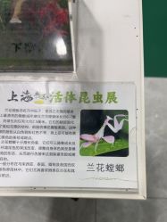 -神奇动物撸宠馆·羊驼·小浣熊·异宠(豫园店)