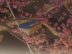 -风波庄(罍街分舵)