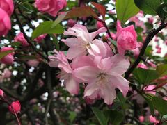 -金杨新村六街坊