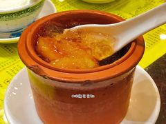 木瓜雪莲炖桃胶-民信老铺(华盖路店)