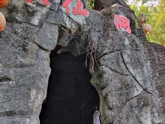 -东莞市大岭山森林公园