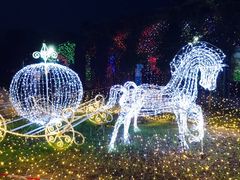 -杭州湾海上花田景区