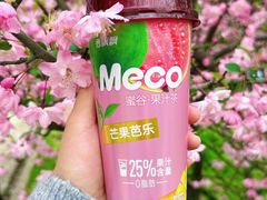 -武汉大学-樱园