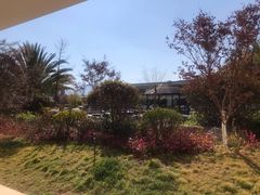 -大理地热国