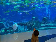 -亚特兰蒂斯•OSSIANO奥西亚诺海底餐厅
