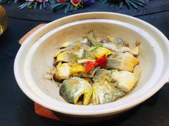 陈年花雕蒸黄花鱼-胜记为食家·创新粤菜(车公庙店)