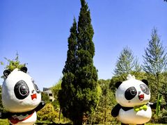 -青藏高原野生动物园