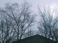 -山东师范大学(千佛山校区)