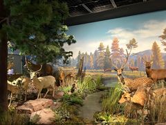 -陕西自然博物馆