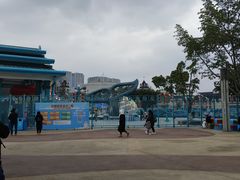 -海合安成都极地海洋公园