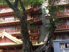 -大佛寺高级素食自助餐厅