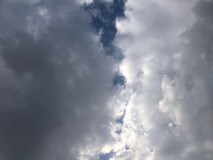 -晓港公园