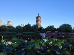 -西海子公园