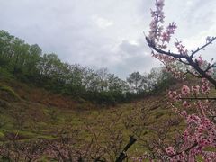 -河口景区