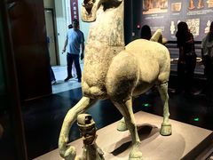 -广西壮族自治区博物馆