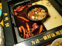-老牌坊云南鱼豆花火锅(爱建店)