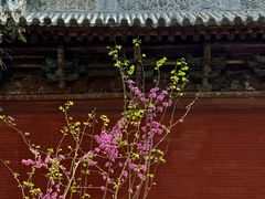 -洛阳白马寺
