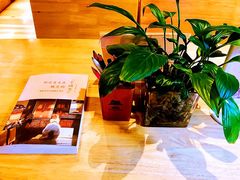 -猫的天空之城概念书店(杭州南宋御街店)