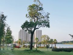-天屿湖
