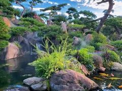 -罗红摄影艺术馆