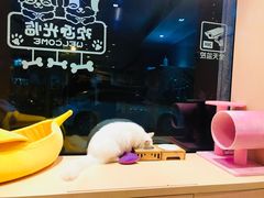 -Pets First伊珊娜洗护·精致美容·家庭式寄养(新会路店)