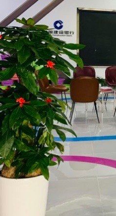 -中国建设银行(郑州紫荆山支行)